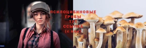 соль ск Абаза