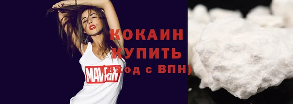 соль ск Абаза
